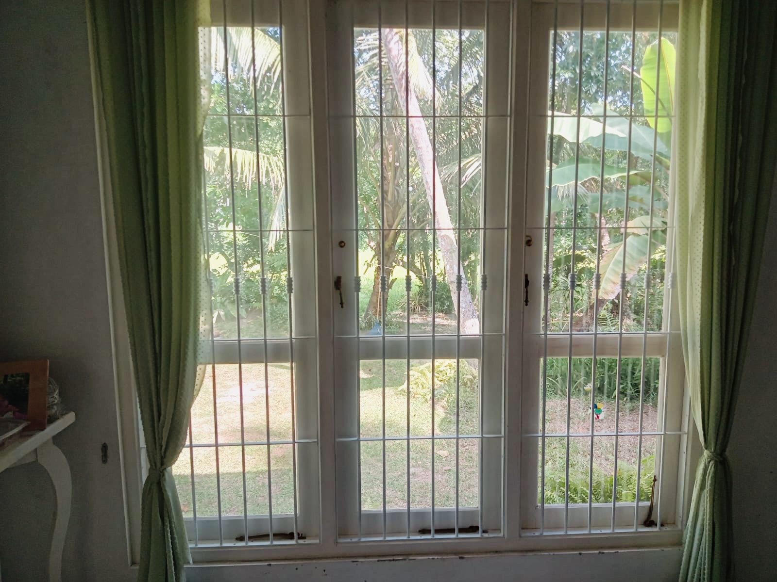 Decorative Window Grill — Nelum Iron Works
